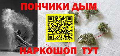 прущие грибы Усть-Илимск