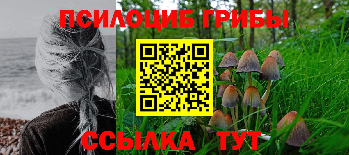 Галлюциногенные грибы Psilocybe  Вход с VPN  Псилоцибиновые грибы ЛСД  Архангельск 