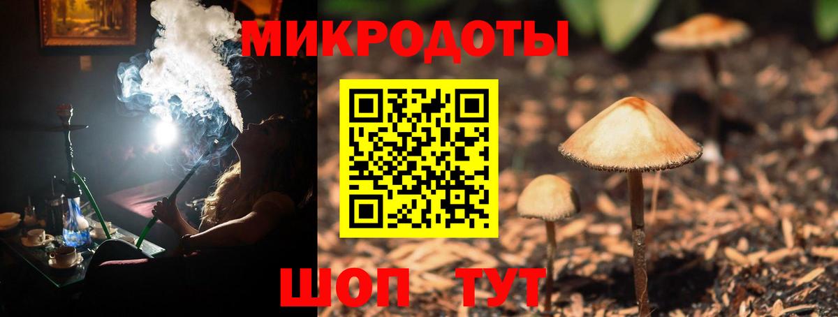 Псилоцибиновые грибы Magic Shrooms Архангельск
